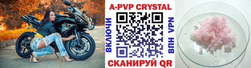 A PVP крисы CK  Терек 